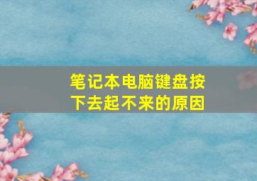 笔记本电脑键盘按下去起不来的原因