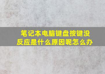 笔记本电脑键盘按键没反应是什么原因呢怎么办