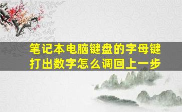 笔记本电脑键盘的字母键打出数字怎么调回上一步