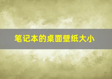 笔记本的桌面壁纸大小