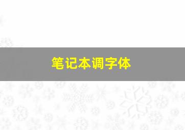 笔记本调字体