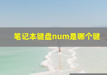 笔记本键盘num是哪个键