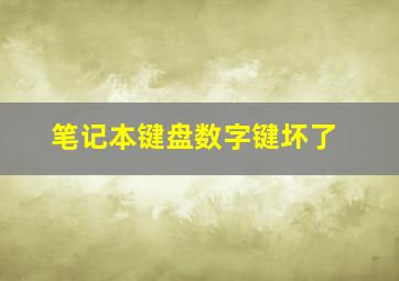 笔记本键盘数字键坏了