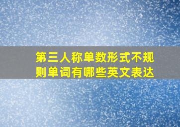 第三人称单数形式不规则单词有哪些英文表达