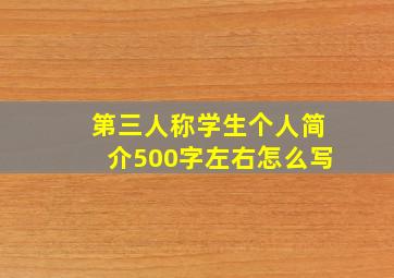 第三人称学生个人简介500字左右怎么写