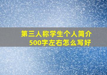 第三人称学生个人简介500字左右怎么写好