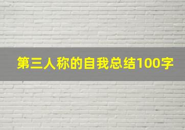 第三人称的自我总结100字