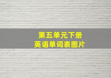 第五单元下册英语单词表图片