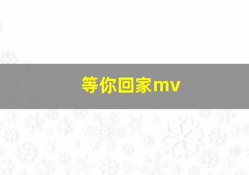 等你回家mv