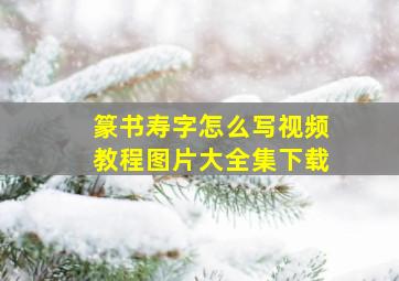 篆书寿字怎么写视频教程图片大全集下载