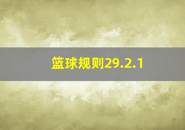 篮球规则29.2.1