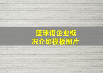 篮球馆企业概况介绍模板图片