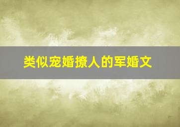 类似宠婚撩人的军婚文