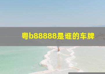 粤b88888是谁的车牌