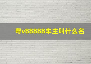 粤v88888车主叫什么名