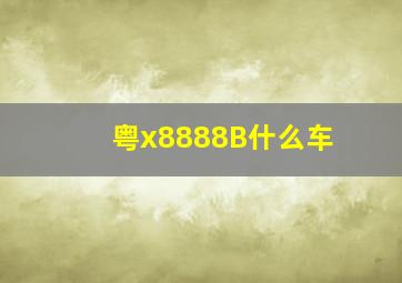 粤x8888B什么车