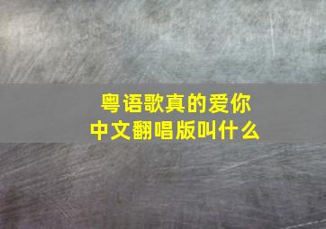 粤语歌真的爱你中文翻唱版叫什么