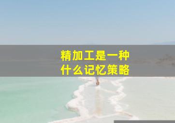 精加工是一种什么记忆策略