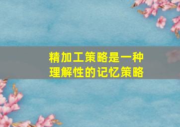 精加工策略是一种理解性的记忆策略