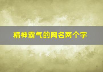 精神霸气的网名两个字