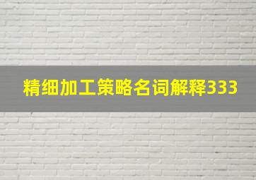 精细加工策略名词解释333