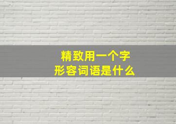 精致用一个字形容词语是什么