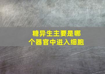 糖异生主要是哪个器官中进入细胞