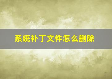 系统补丁文件怎么删除