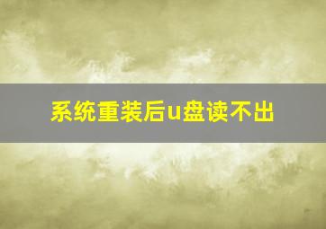 系统重装后u盘读不出