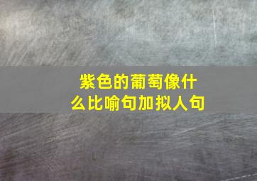 紫色的葡萄像什么比喻句加拟人句