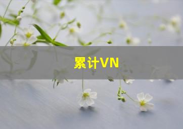 累计VN