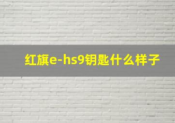 红旗e-hs9钥匙什么样子