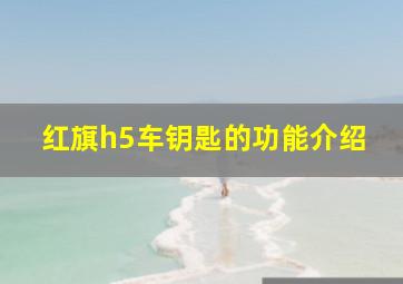 红旗h5车钥匙的功能介绍