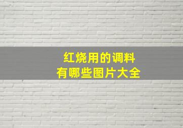 红烧用的调料有哪些图片大全