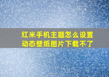 红米手机主题怎么设置动态壁纸图片下载不了