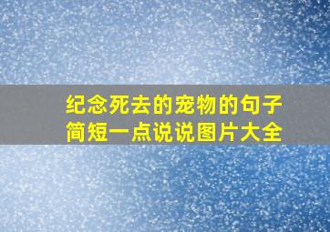 纪念死去的宠物的句子简短一点说说图片大全