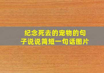 纪念死去的宠物的句子说说简短一句话图片