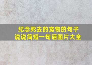 纪念死去的宠物的句子说说简短一句话图片大全