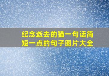 纪念逝去的猫一句话简短一点的句子图片大全