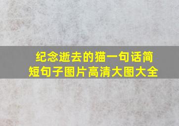 纪念逝去的猫一句话简短句子图片高清大图大全