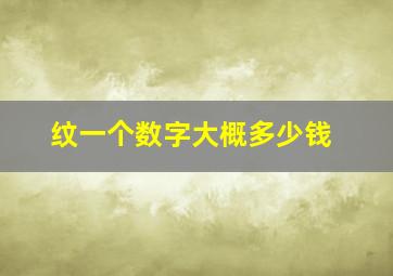 纹一个数字大概多少钱