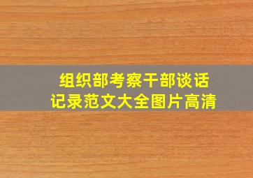 组织部考察干部谈话记录范文大全图片高清