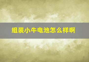 组装小牛电池怎么样啊