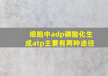 细胞中adp磷酸化生成atp主要有两种途径