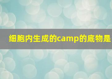 细胞内生成的camp的底物是