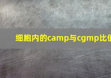 细胞内的camp与cgmp比值