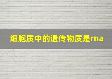 细胞质中的遗传物质是rna