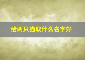 给两只猫取什么名字好