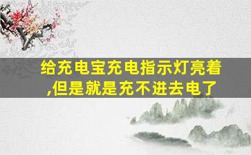 给充电宝充电指示灯亮着,但是就是充不进去电了