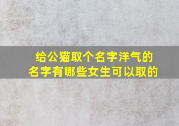 给公猫取个名字洋气的名字有哪些女生可以取的